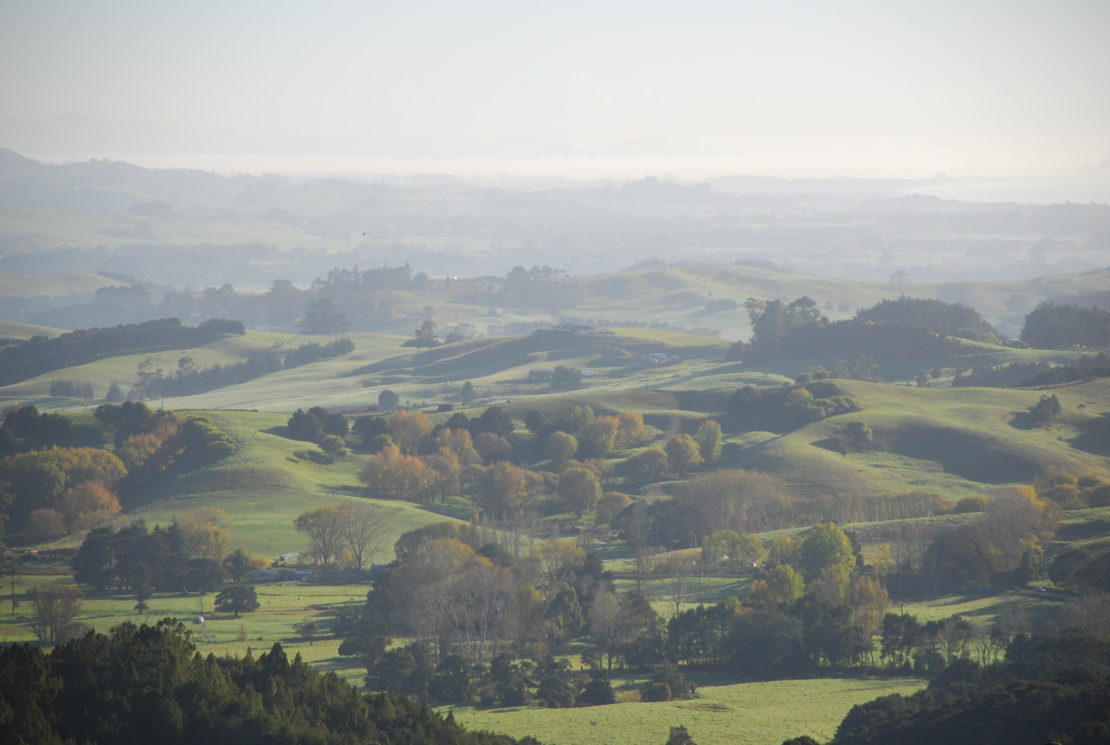 Northland Travelling Germans